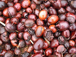 State Crop of Burkina Faso