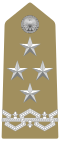 Generale (Italian Army)
