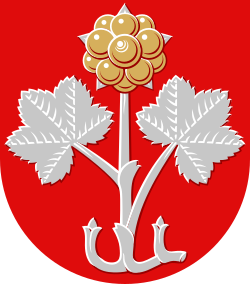 The cloudberry in the coat of arms of Muurame.