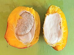 Fruit with single seed, cut open