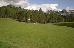 Golf Course