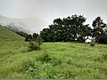 Kodachadri landscape