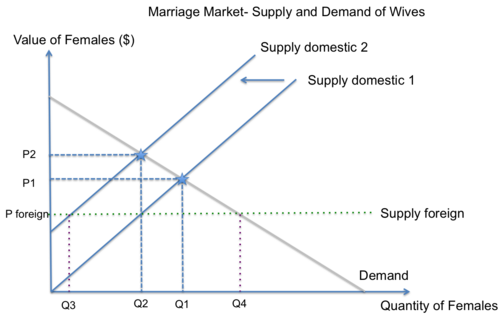 This graph shows the marriage market for women in India and how the lack of females due to female foeticide results in a lower supply of women. The gap is bridged by men kidnapping or importing wives from other regions.