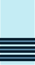 An Indian Air Force wing commander's rank insignia