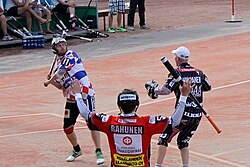 State Sport of the Finnish Republic