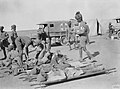 Indian medical orderlies with the Mesopotamian Expeditionary Force in Mesopotamia during World War I