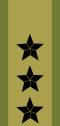Generalløytnant[39] (Norwegian Army)