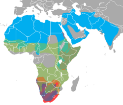 Striped hyena in blue, Brown hyena in purple, Spotted hyena in green, Aardwolf in red