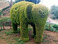 Green Elephant