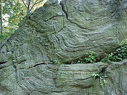 Manhattan schist outcropping in New York City's Central Park