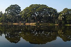 Romna Park4.JPG