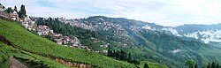 Darjeeling town