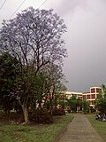 Hostel No.2 (boys)