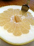 This white hybrid Pomelo is cushioned with a thick mesocarp layer