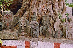 Nāga