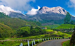 A view of Munnar