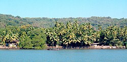 Dabhol in Ratnagiri district, Konkan division, Maharashtra. Beaches dotted with swaying coconut palms are a ubiquitous sight along the Konkani coast.