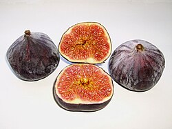 State Fruit of Jordan