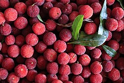 Fruit of Meghalaya Praant (Hindustan)