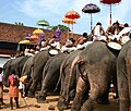 Caparisoned elephants during Sree Poornathrayesa temple festival, Thrippunithura.
