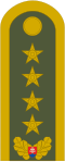 Generál (Ground Forces of the Slovak Republic)
