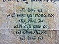 Dahuka boli