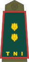 Indonesian Army (Letnan Kolonel)