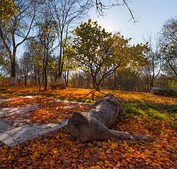 Autumn 2015