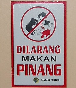 Sign in Indonesia saying that chewing betelnut is prohibited. Because of the mess, many places ban chewing betelnut. Notably, Port Moresby, the capital of Papua New Guinea, has a ban on buai. This buai ban is from Sentani Airport, Jayapura, Papua Province, Indonesia.