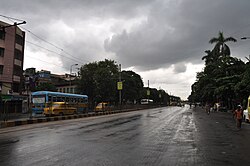 Acharya Prafulla Chandra Road - Kolkata 7349.JPG