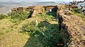 Ruins of the Mint building