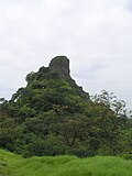 Karnala tower