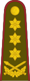 Generolas leitenantas[34] (Lithuanian Land Forces)