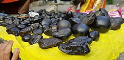 Section 6, Vaishnava nidhi, includes ammonite fossils, salagrama stones, which serve as a non-anthropomorphic symbol of Vishnu