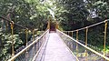 Hanging Bridge