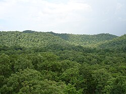 Biodiversity Rich Maikal Hills.jpg
