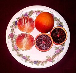 State Fruit of the Malta