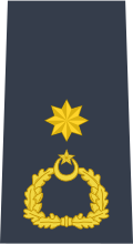 A PAF Wing Commander's shoulder insignia
