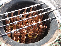 Khorovats kebabs