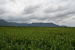 Western Ghats viewed from Theni