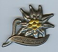 1963 German mountain sport pin.