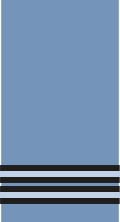 An RAF flight lieutenant's sleeve/shoulder insignia