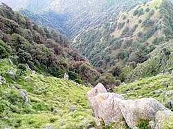 Steep descent from Ameli range