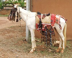 State Animal of Burkina Faso