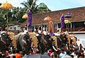 Caparisoned elephants during Sree Poornathrayesa temple festival, Thrippunithura.
