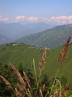 Marybong Tea Estate