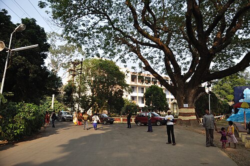 The campus