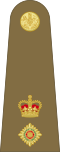British Army (Lieutenant Colonel)