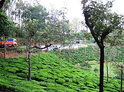 Devarshola Road