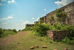 LANDSCAPE NARSINGHARH FORT.jpg